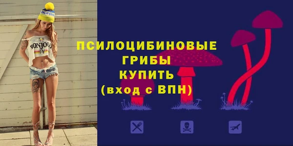 ALPHA PVP Алексин