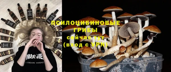 а пвп мука Алзамай