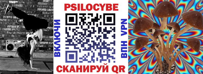 купить   Анапа  Псилоцибиновые грибы мицелий 