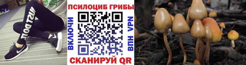 Галлюциногенные грибы прущие грибы Анапа