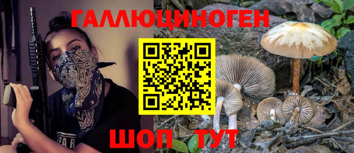 как найти   Вход с VPN  Галлюциногенные грибы Cubensis  Анапа  Псилоцибиновые грибы GOLDEN TEACHER 