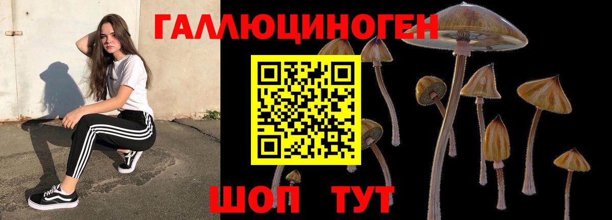 Галлюциногенные грибы MAGIC MUSHROOMS Анапа